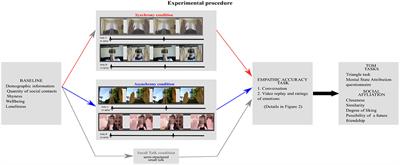 Synchrony During Online Encounters Affects Social Affiliation and Theory of Mind but Not Empathy